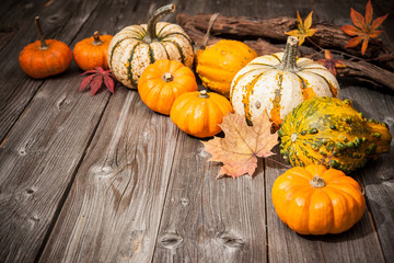 Autumn still life with pumpkins and leaves