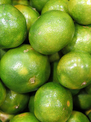 Fresh Green tangerine