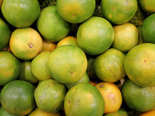 Closeup of fresh green oranges