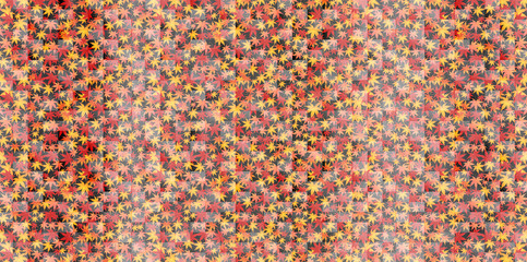 もみじ　紅葉　背景