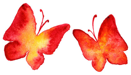 Red and yellow butterflies isolated