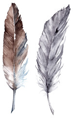 Watercolor vector feather set isolated