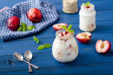Domestic yogurt with fruit and granola