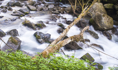 River Rush