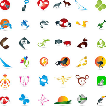 Große Tier Sammlung, Logos
