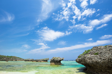 沖縄の海