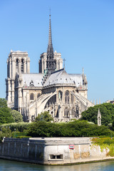 Fototapeta na wymiar Cathedral Notre Dame Paris
