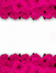 Flower frame, border. Bouquet of pink poppy on white background.