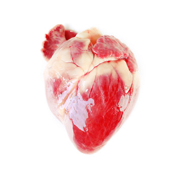 Heart isolated on white