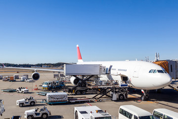 Fototapeta premium Aircraft Ground Handling at the Airport Terminal