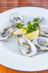 Oysters