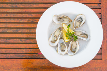 Oysters