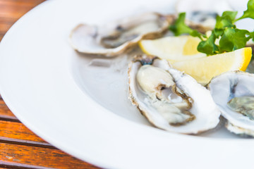 Oysters