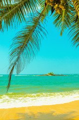 Amazing sandy beach with coconut palm