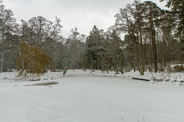 Frozen pond