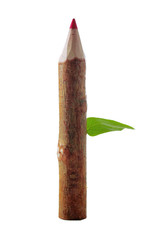 Wooden pencil with leaf isolated on white
