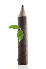 Wooden pencil with leaf isolated on white
