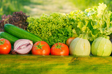 fresh organic vegetables
