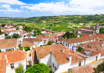 view of old town Obidos in Portugal