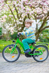 Little preschool kid boy riding with his first bike