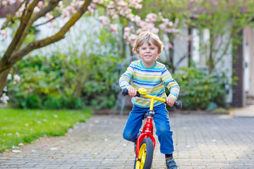 Adorable little kid boy driving his first bike or laufrad