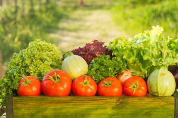 fresh organic vegetables