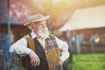 Senior farmer outside in beautiful summer nature