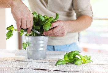 Close up of unrecognizable man with green basil leaves