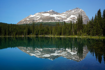 Lake O'Hara & Odaray Mountain in Yoho National Park