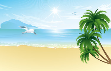 Fototapeta na wymiar Summer beach with palm trees 