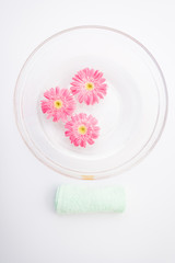 Obraz na płótnie Canvas Pink gerbera flower