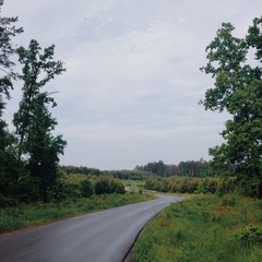 Obraz premium country side road after rain in the morning