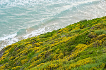 Green coast in Mediterranean country
