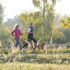 Obraz premium Laufen mit dem vierbeiningen Freund