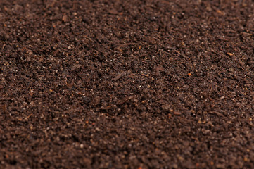 Organic soil