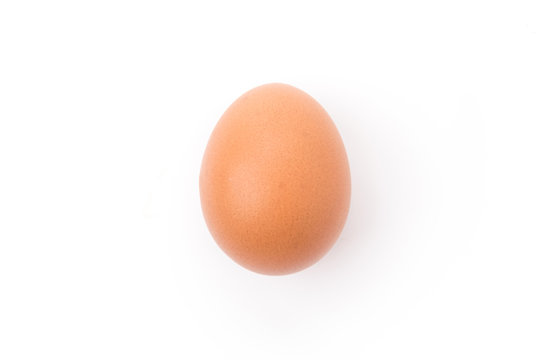 chicken egg