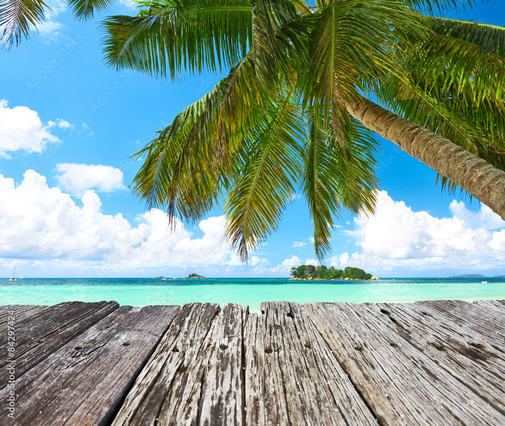 Wall mural beautiful beach with palm tree at seychelles