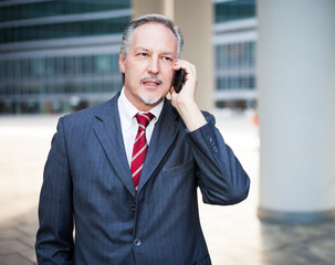 Businessman using a cell phone