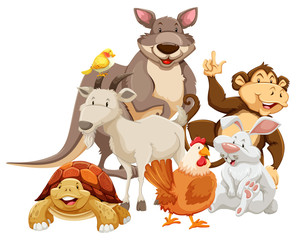 Obraz premium Animals