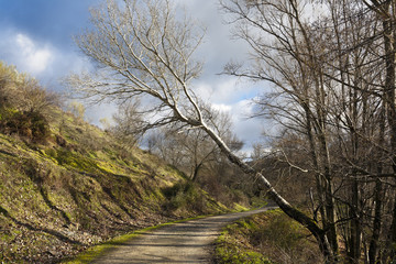 Camino del Canal de la Parra. Sierra Norte. Madrid