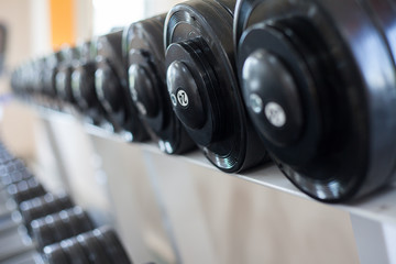 Sports dumbbells in modern sports club