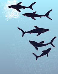 Template poster design with hand-drawn sharks silhouettes.