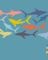 Template poster design with hand-drawn sharks silhouettes.