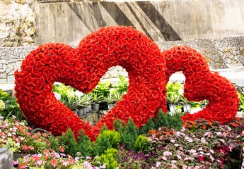 Fototapeta premium romantic shape heart with roses background