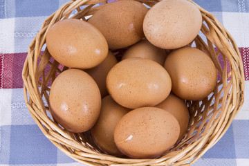 basket of eggs isolated
