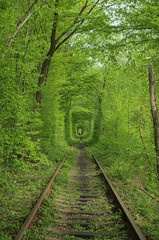 Tunnel of love