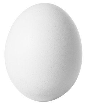 White egg isolated on white background with clipping path includ