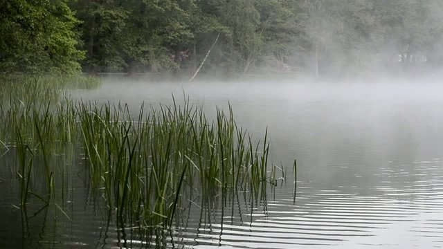 mist clears over the lake