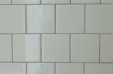 tile wall in toilet -vintage tone