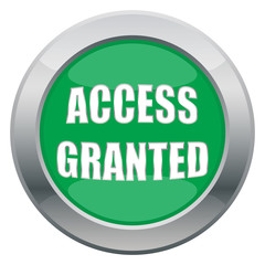 Access Granted Icon